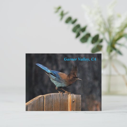 Garner Valley Briefkaart (Staand voorkant)