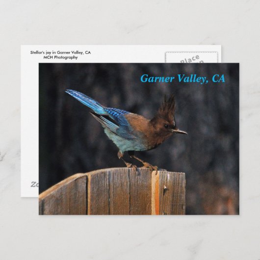 Garner Valley Briefkaart (Voorkant / Achterkant)