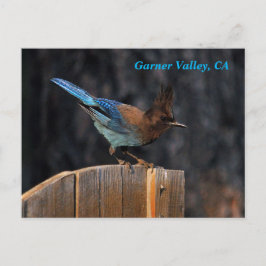 Garner Valley Briefkaart