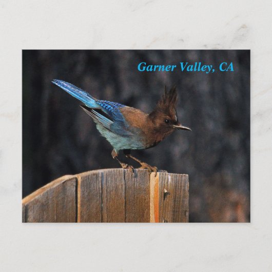 Garner Valley Briefkaart (Voorkant)
