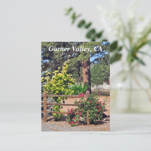 Garner Valley, CA Briefkaart (Staand voorkant)