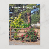 Garner Valley, CA Briefkaart (Voorkant)