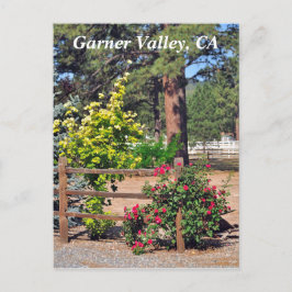 Garner Valley, CA Briefkaart