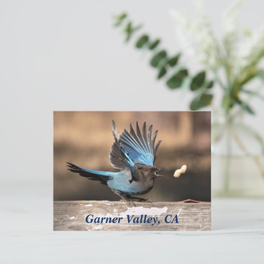 Garner Valley, CA-Briefkaart Briefkaart (Staand voorkant)