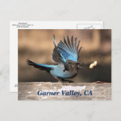 Garner Valley, CA-Briefkaart Briefkaart (Voorkant / Achterkant)