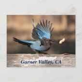 Garner Valley, CA-Briefkaart Briefkaart (Voorkant)