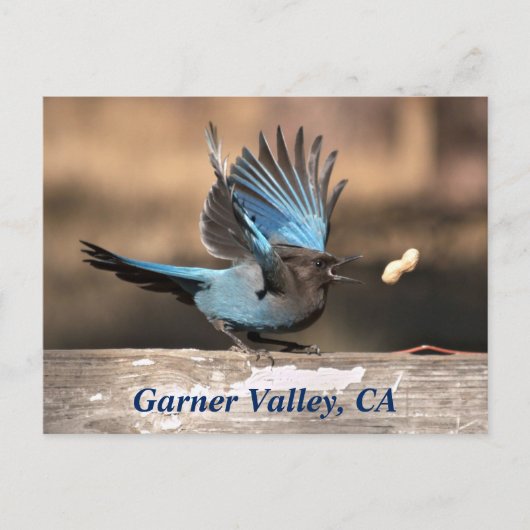 Garner Valley, CA-Briefkaart Briefkaart (Voorkant)