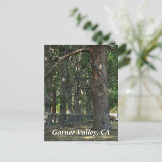 Garner Valley, CA-Briefkaart Briefkaart (Staand voorkant)