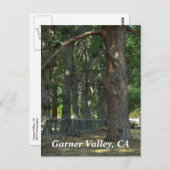 Garner Valley, CA-Briefkaart Briefkaart (Voorkant / Achterkant)