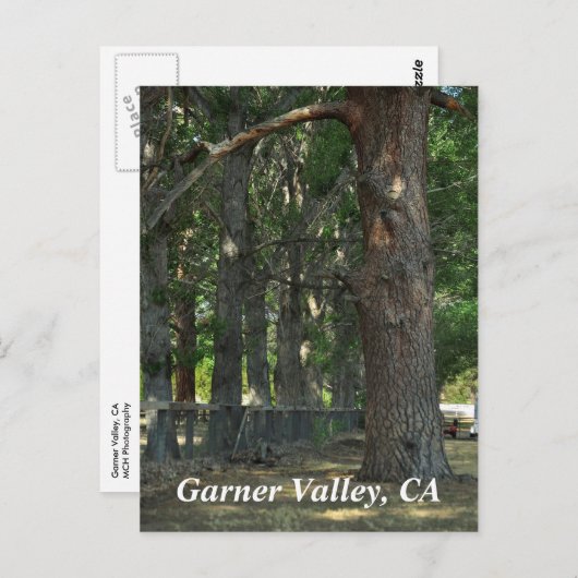 Garner Valley, CA-Briefkaart Briefkaart (Voorkant / Achterkant)