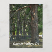 Garner Valley, CA-Briefkaart Briefkaart (Voorkant)
