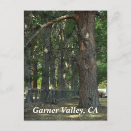 Garner Valley, CA-Briefkaart Briefkaart
