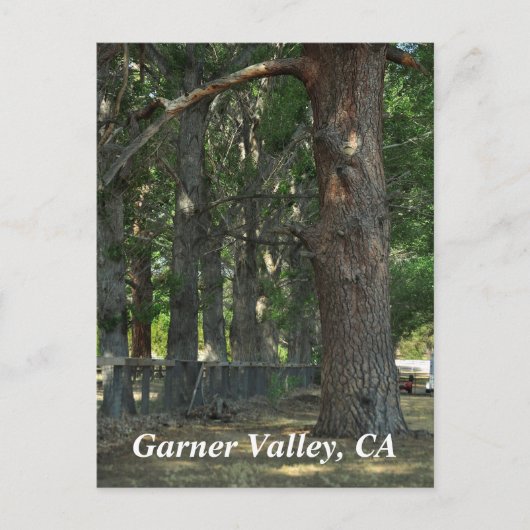 Garner Valley, CA-Briefkaart Briefkaart (Voorkant)