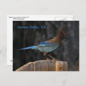 Garner Valley, CA-briefkaart Briefkaart (Voorkant / Achterkant)
