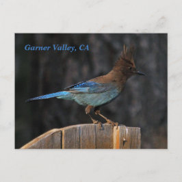 Garner Valley, CA-briefkaart Briefkaart