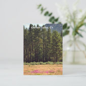 Garner Valley, CA-briefkaart Briefkaart (Staand voorkant)