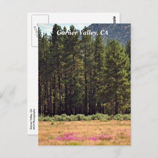Garner Valley, CA-briefkaart Briefkaart (Voorkant / Achterkant)