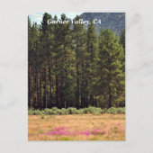 Garner Valley, CA-briefkaart Briefkaart (Voorkant)