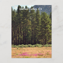 Garner Valley, CA-briefkaart Briefkaart