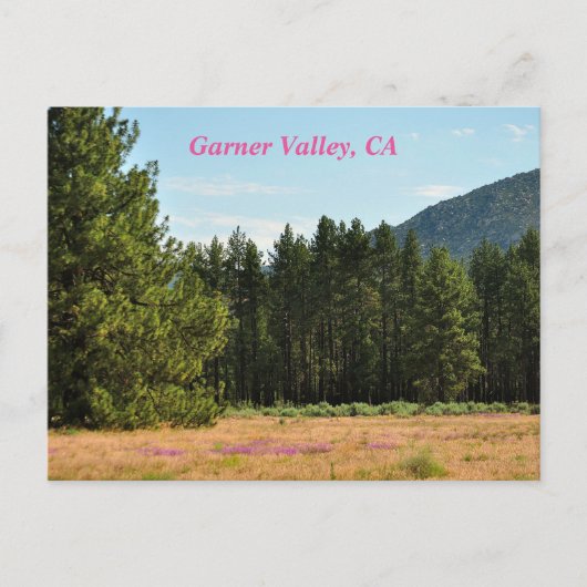 Garner Valley, CA-briefkaart Briefkaart (Voorkant)