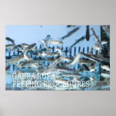 Garra rufa-peling poster (Voorkant)