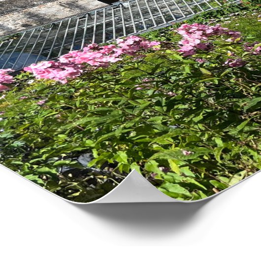 Gartan Mountain County Donegal Ierland Europa Poster (Hoek)