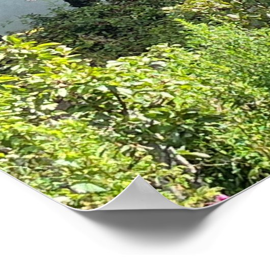 Gartan Mountain County Donegal Ierland Europa Poster (Hoek)