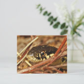 Garter Snake Briefkaart (Staand voorkant)