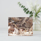 Garter Snake Briefkaart (Staand voorkant)