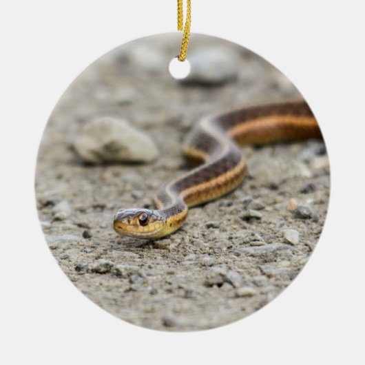 Garter Snake Keramisch Ornament (Voorkant)