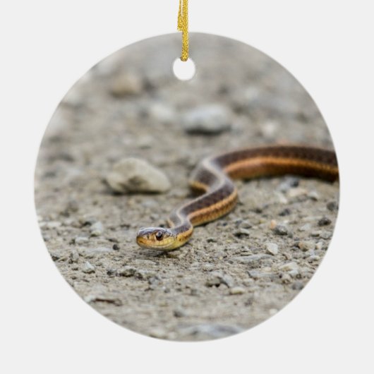 Garter Snake Keramisch Ornament (Achterkant)