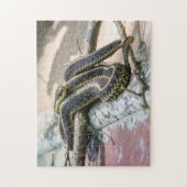 Garter Snake Legpuzzel (Verticaal)