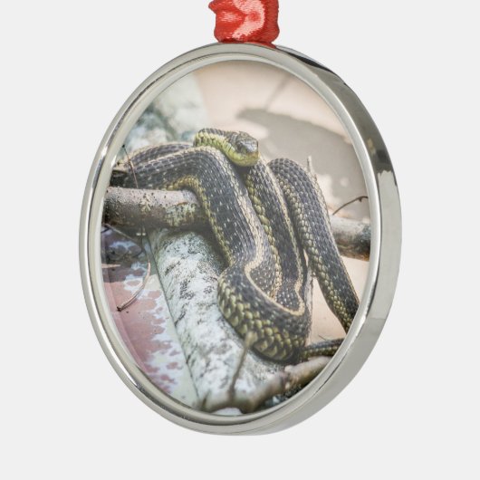 Garter Snake Metalen Ornament (Links)