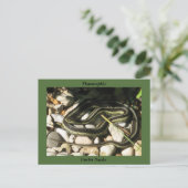 Garter Snake on Rocks (Green Border)-Thamnophis Briefkaart (Staand voorkant)