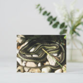 Garter Snake op Rocks Briefkaart (Staand voorkant)