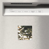 Garter Snake op Rocks Magneet (Insitu (Vaatwasser))