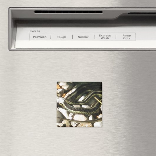 Garter Snake op Rocks Magneet (Insitu (Vaatwasser))