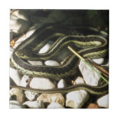 Garter Snake op Rocks Tegeltje (Voorkant)