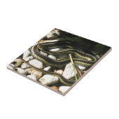 Garter Snake op Rocks Tegeltje (Zijkant)