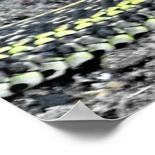 Garter Snake Poster (Hoek)