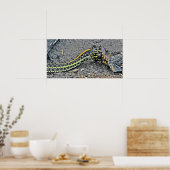 Garter Snake Poster (Keuken)