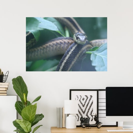 Garter Snake Poster (Thuiskantoor)