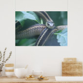 Garter Snake Poster (Keuken)