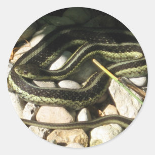 Garter Snake Ronde Sticker