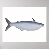 Garua Bachcha Poster (Voorkant)