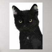 Gary de zwarte kat poster (Voorkant)