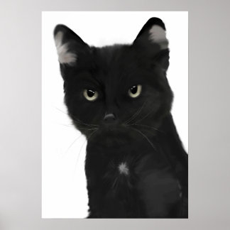 Gary de zwarte kat poster