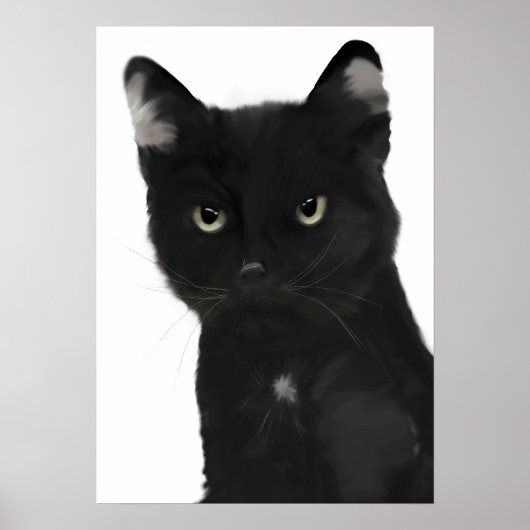 Gary de zwarte kat poster (Voorkant)