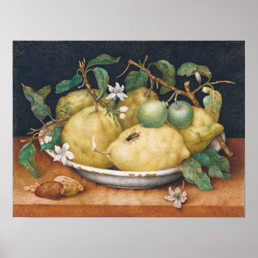 Garzoni - nog steeds leven met Bowl van citrons Poster (Voorkant)
