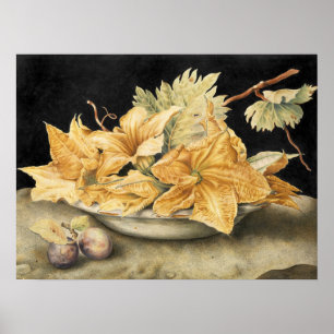 Garzoni - Stilleven met pompoenbloemen en wijnstok Poster